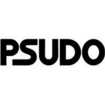 Psudo 筹集了 300 万美元的种子资金-企查查