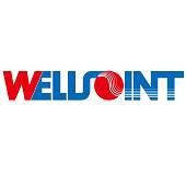 welljoint 定向增发 2011-04-21 上海 慧捷(上海)信息技术有限公司