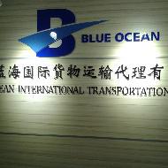 蓝海国际
