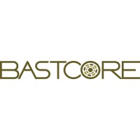BastCore籌集了280萬美元的A輪融資-企查查