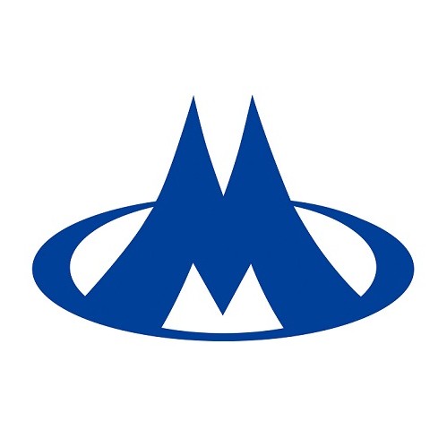 新华联控股有限公司